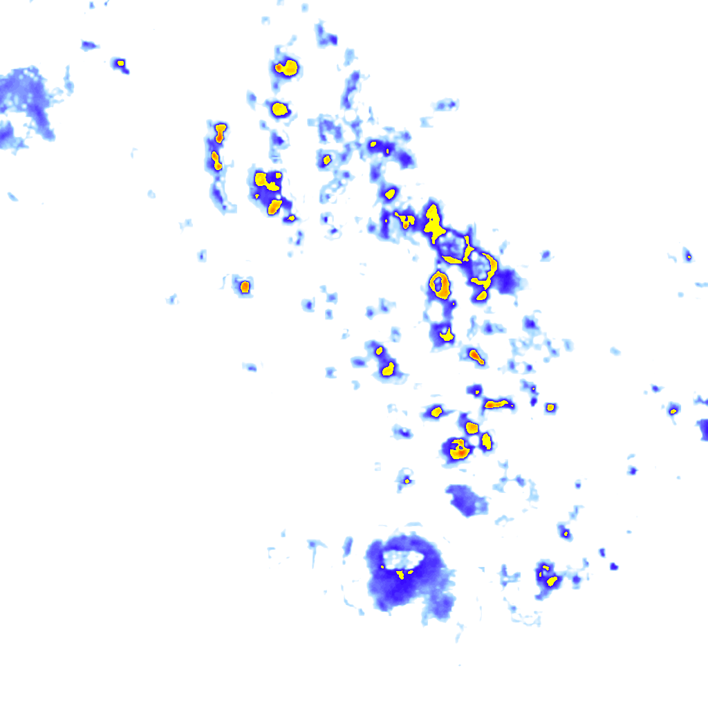 Image Layer