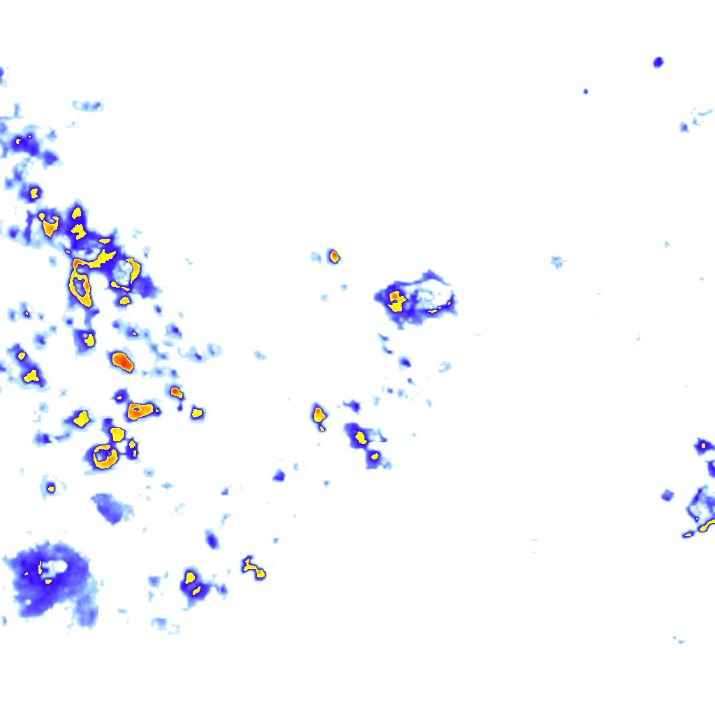 Image Layer