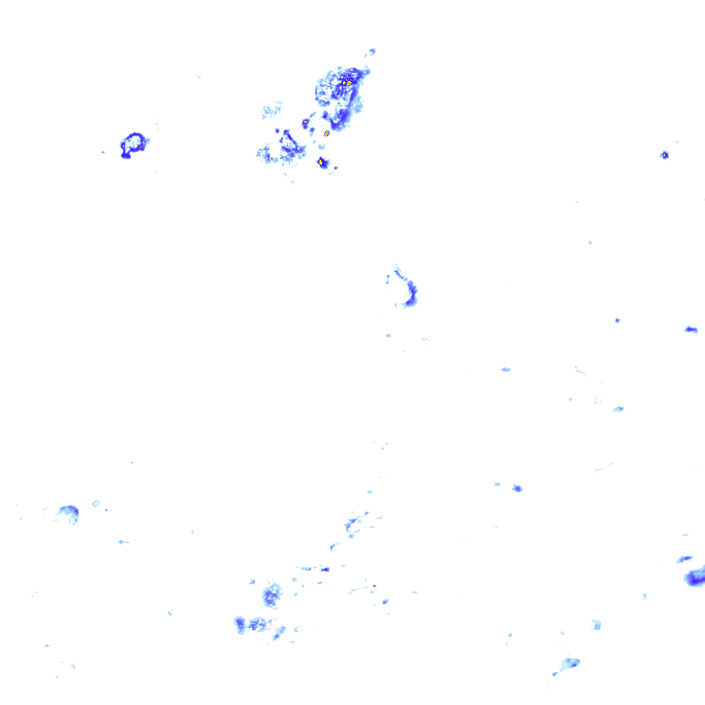 rainLayer