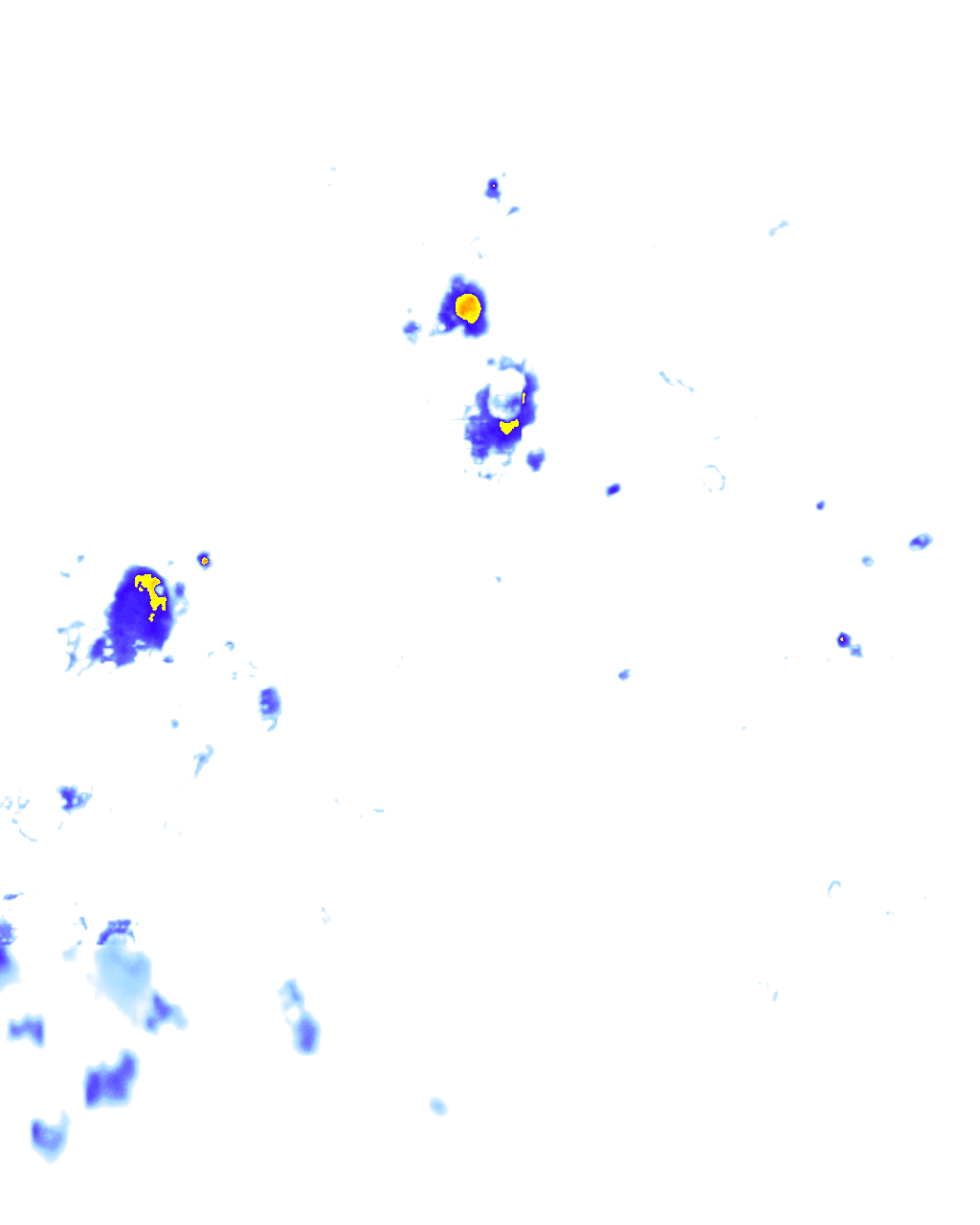 rainLayer