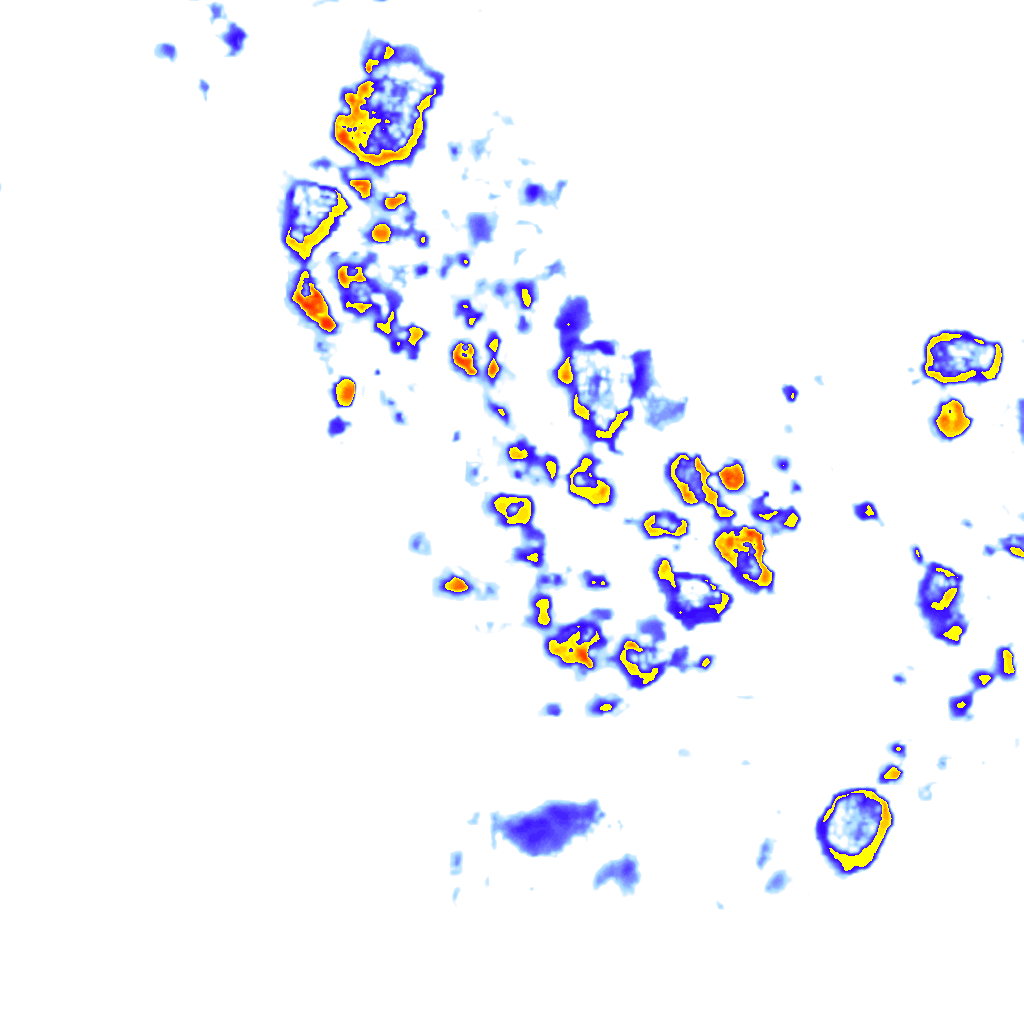 Image Layer