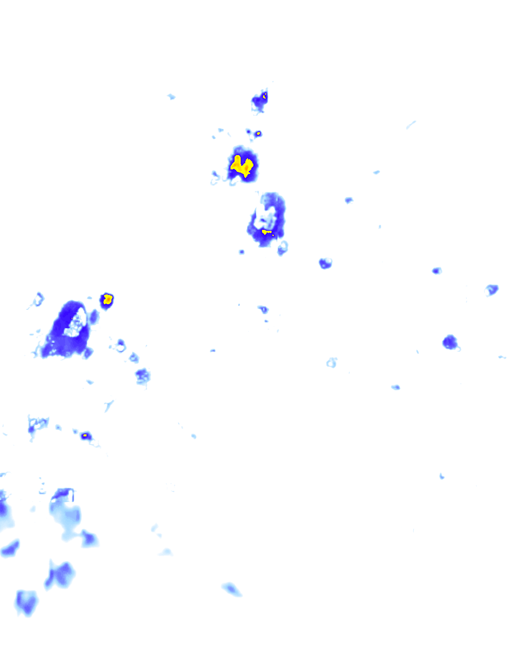 rainLayer