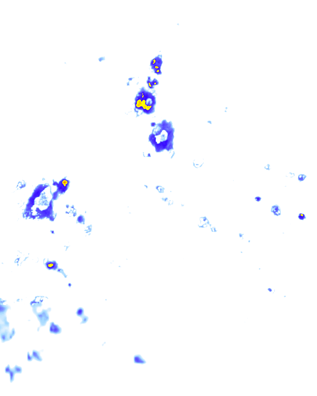 rainLayer