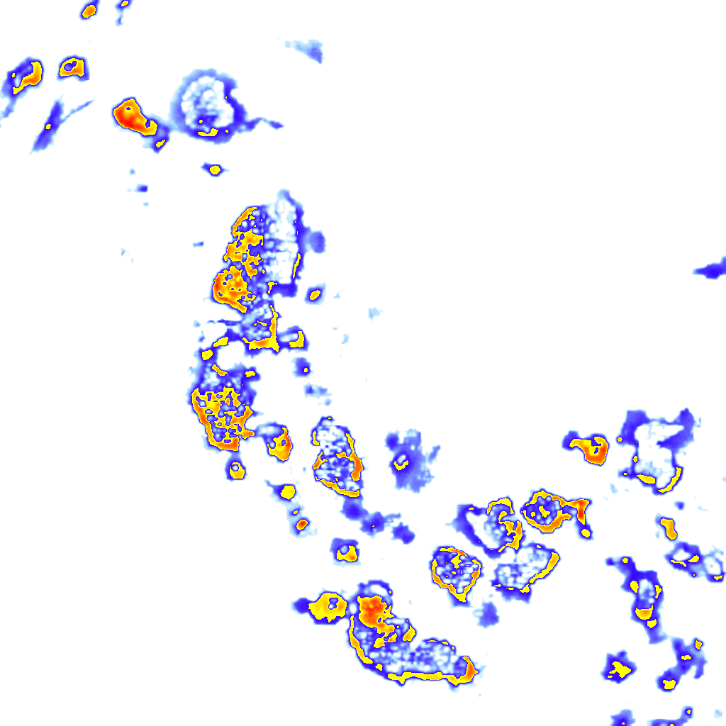 rainLayer