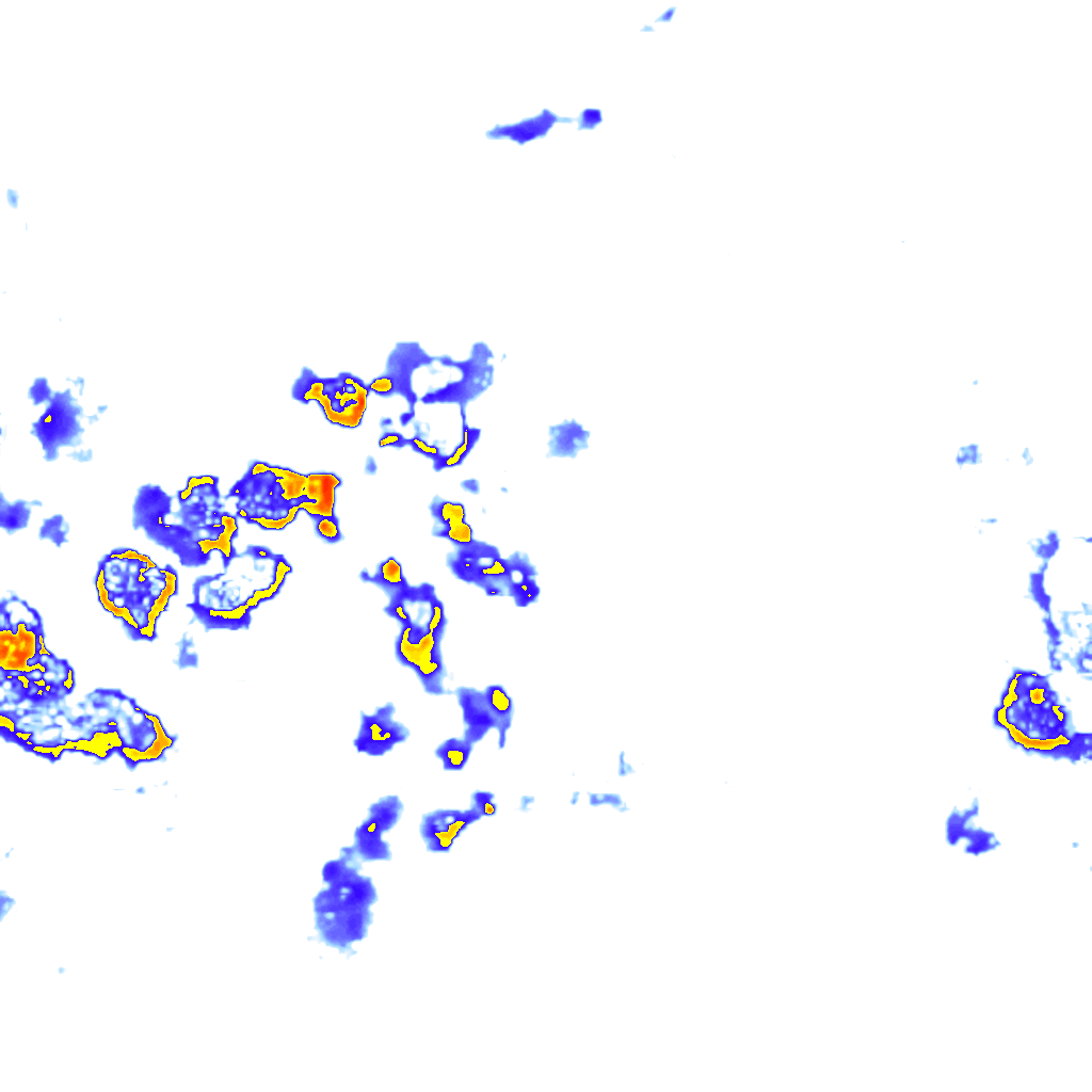 Image Layer