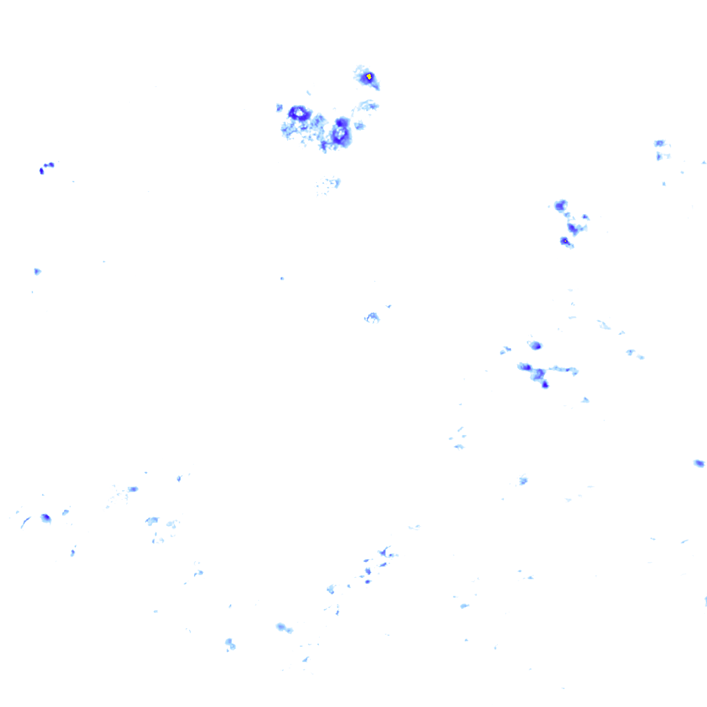 rainLayer