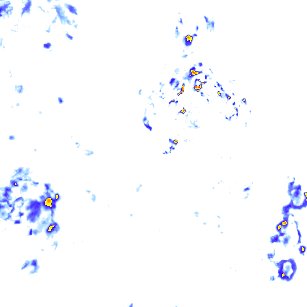 rainLayer
