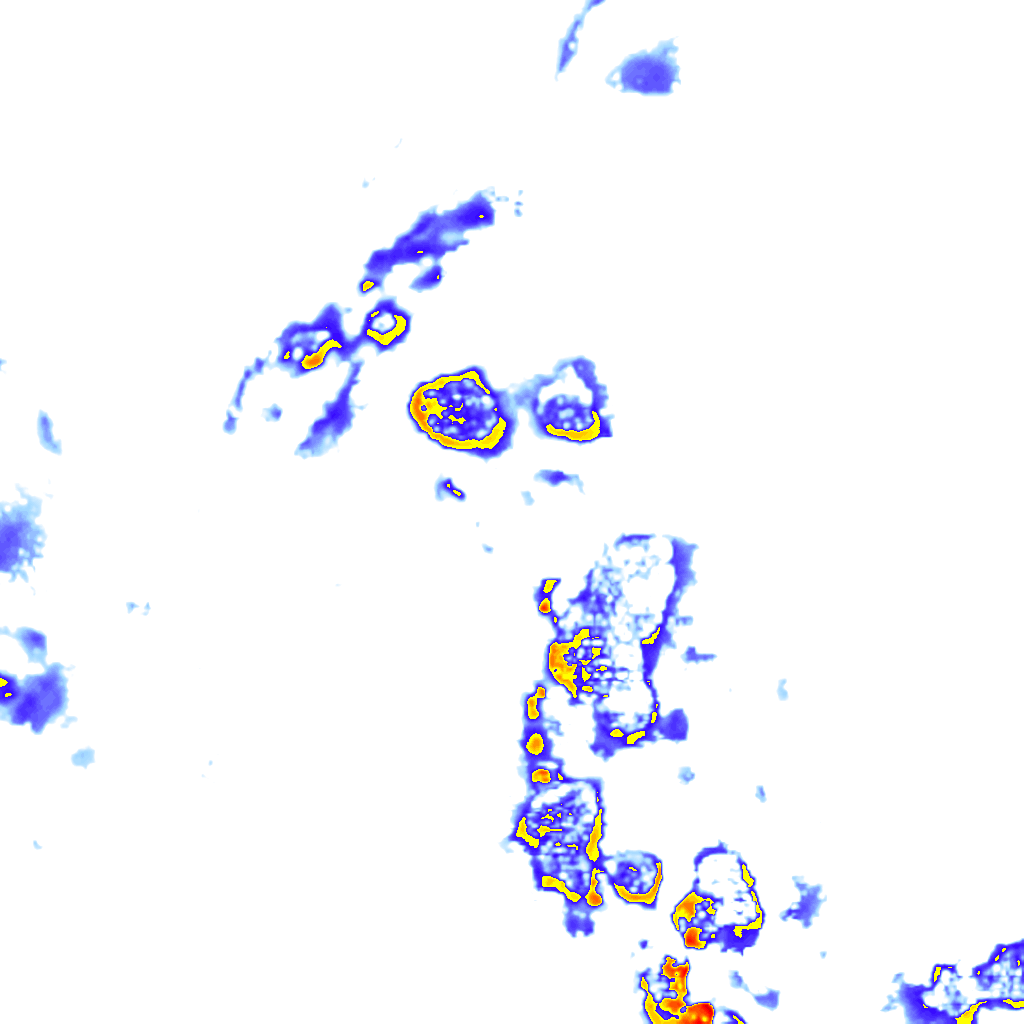 Image Layer