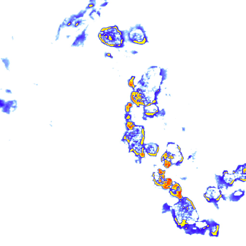 Image Layer