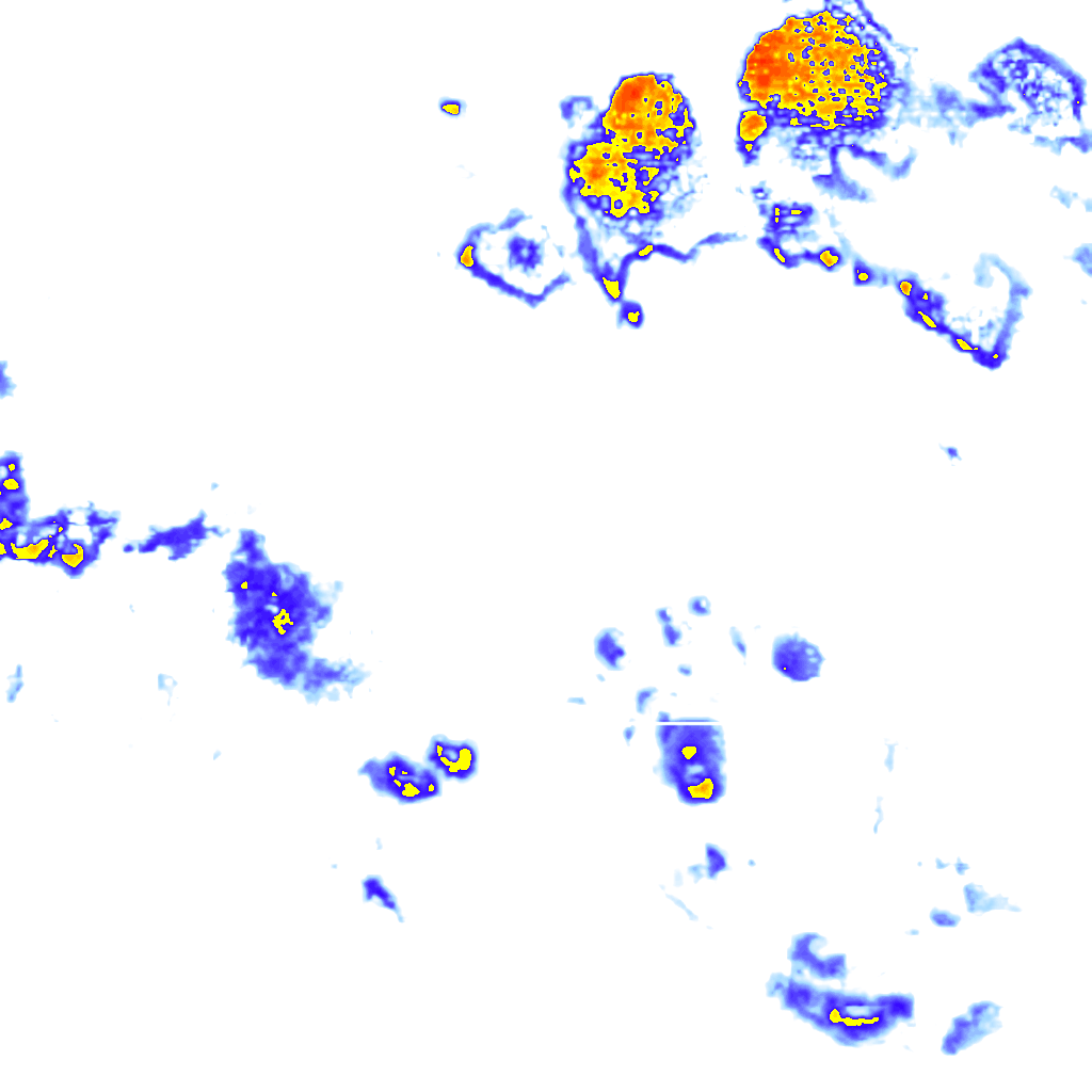 Image Layer