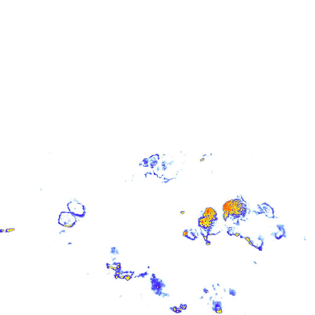 Image Layer