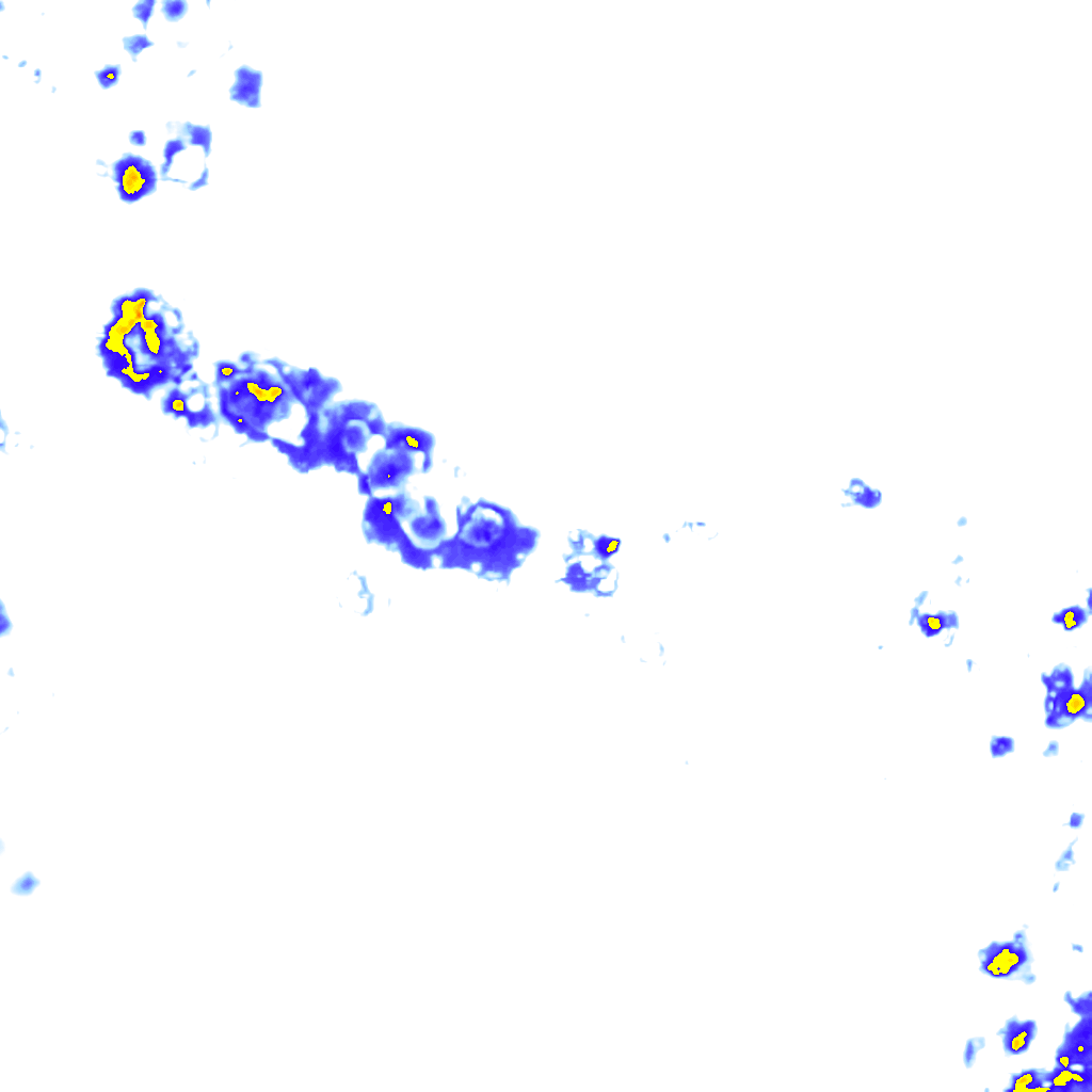 Image Layer