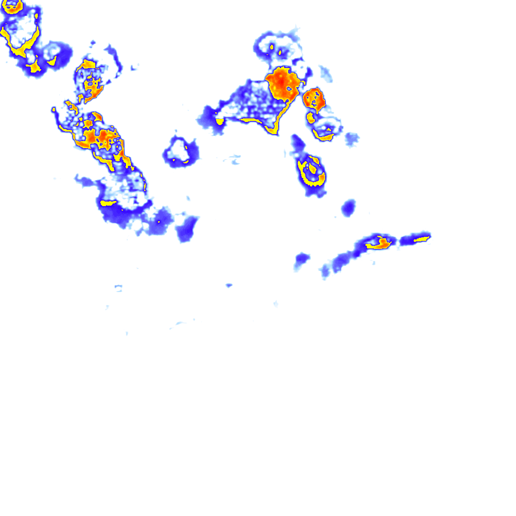 Image Layer