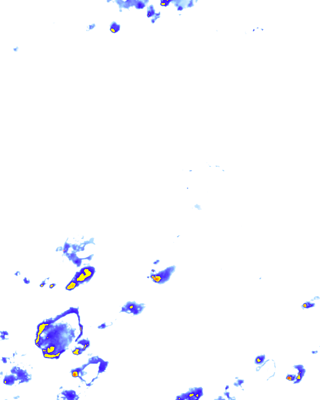 rainLayer