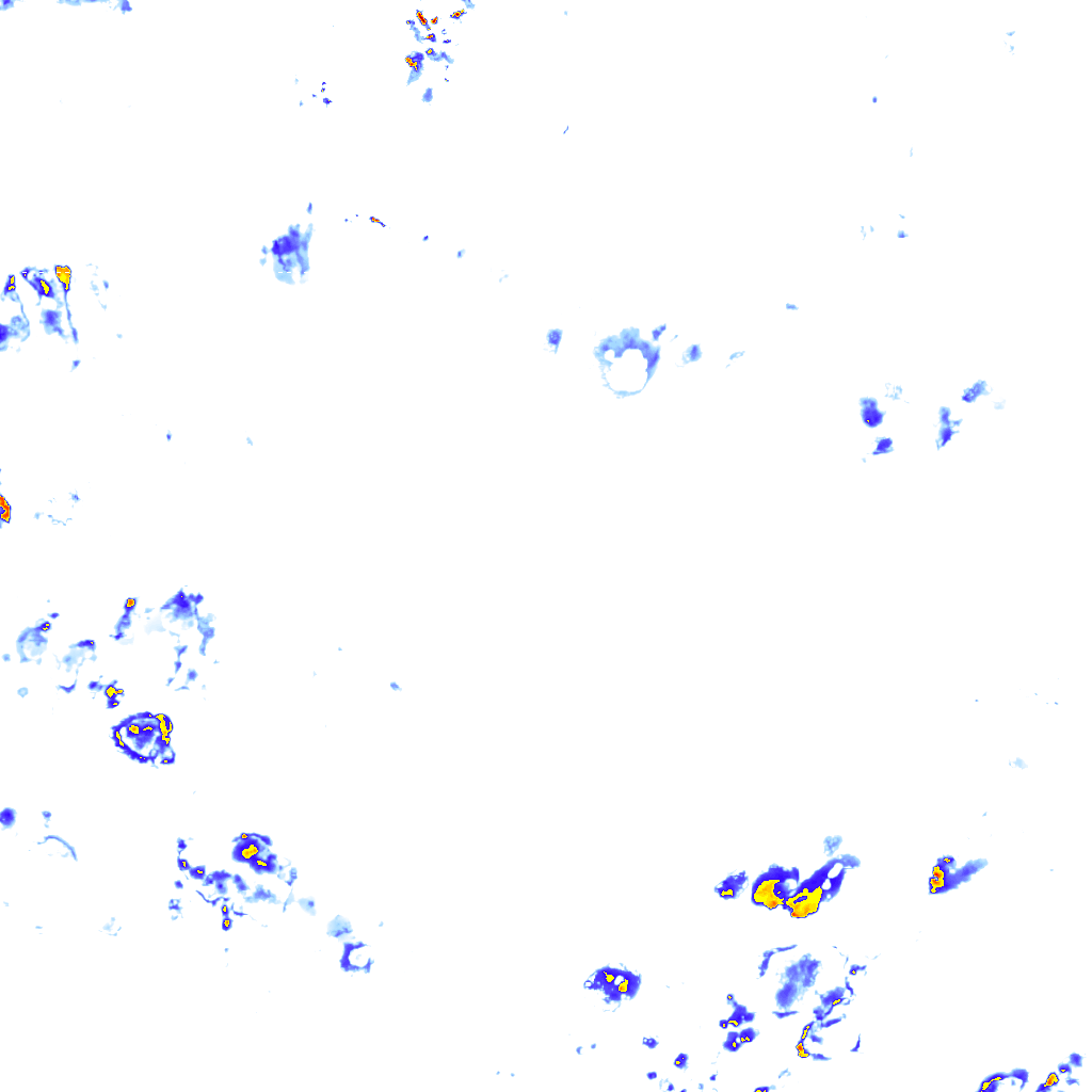 rainLayer
