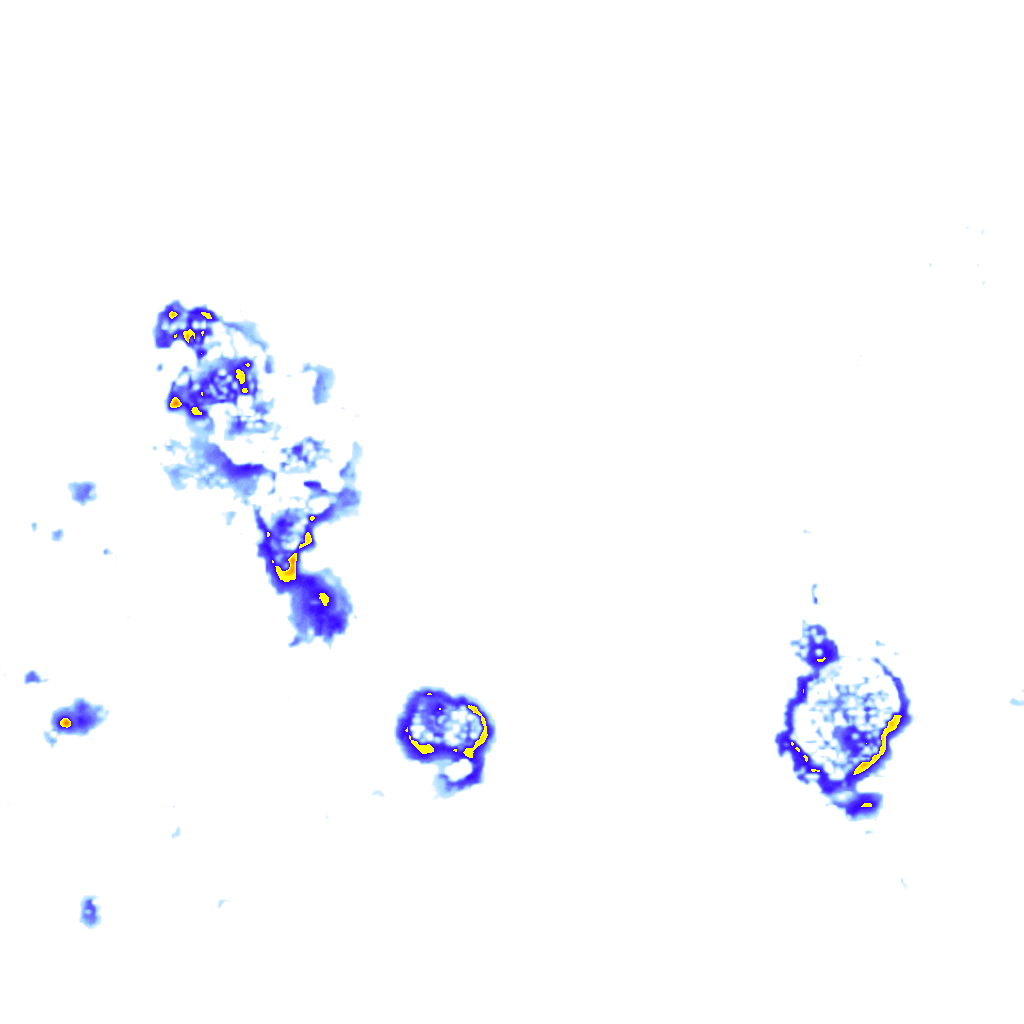 Image Layer