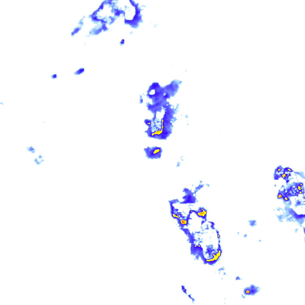rainLayer