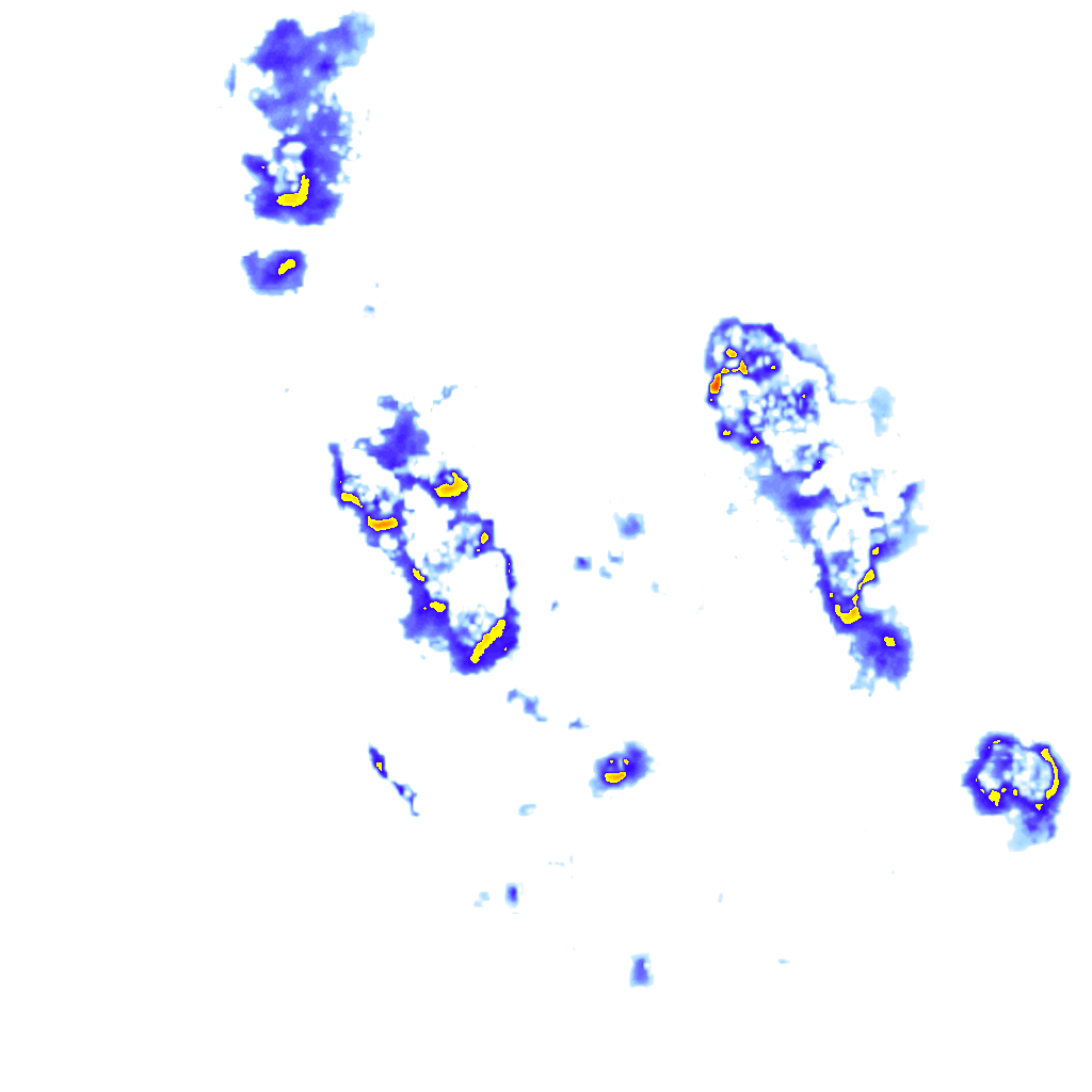 rainLayer