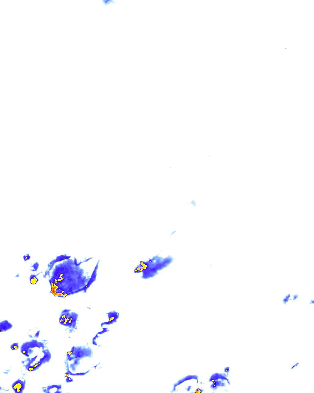 rainLayer