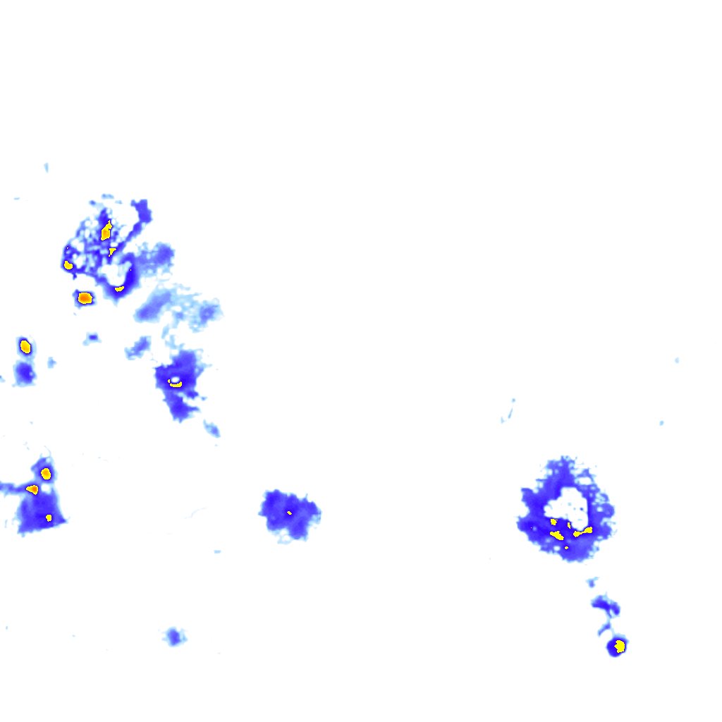 Image Layer