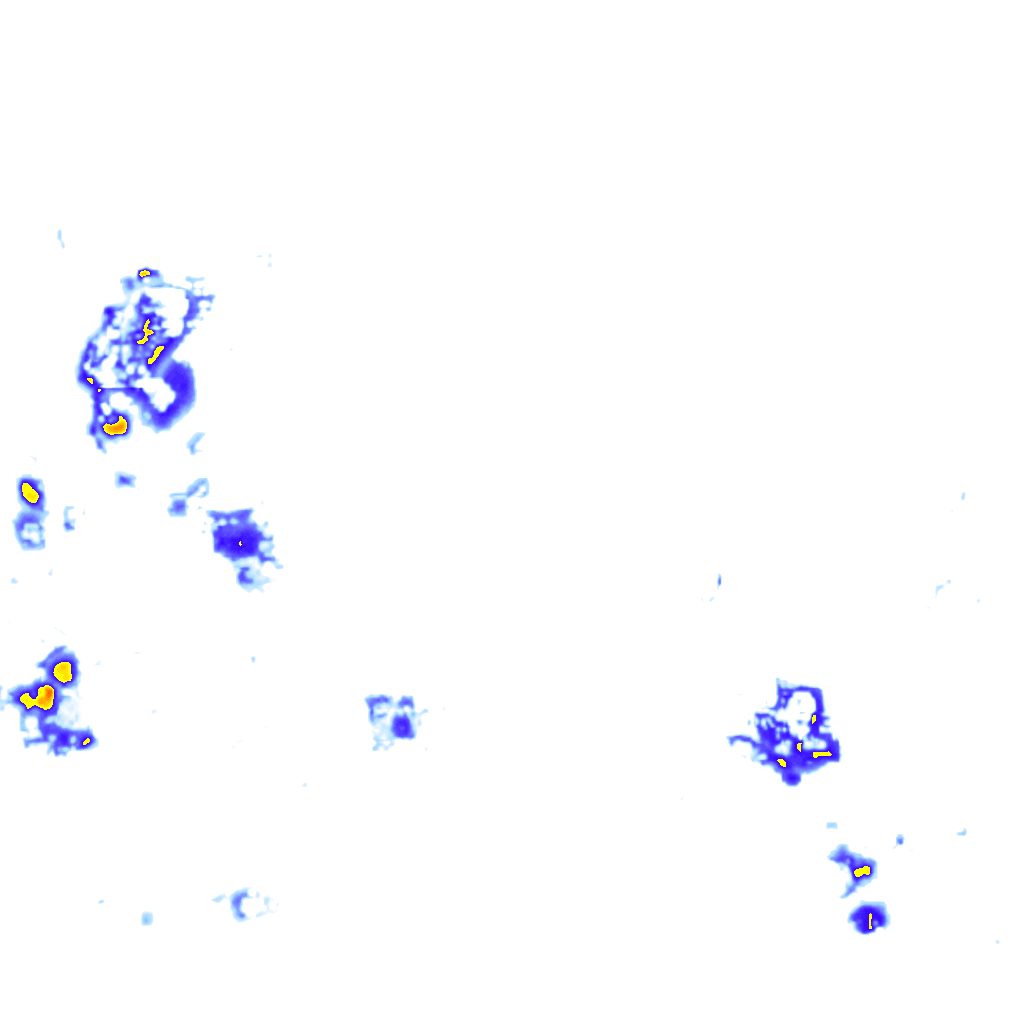 Image Layer