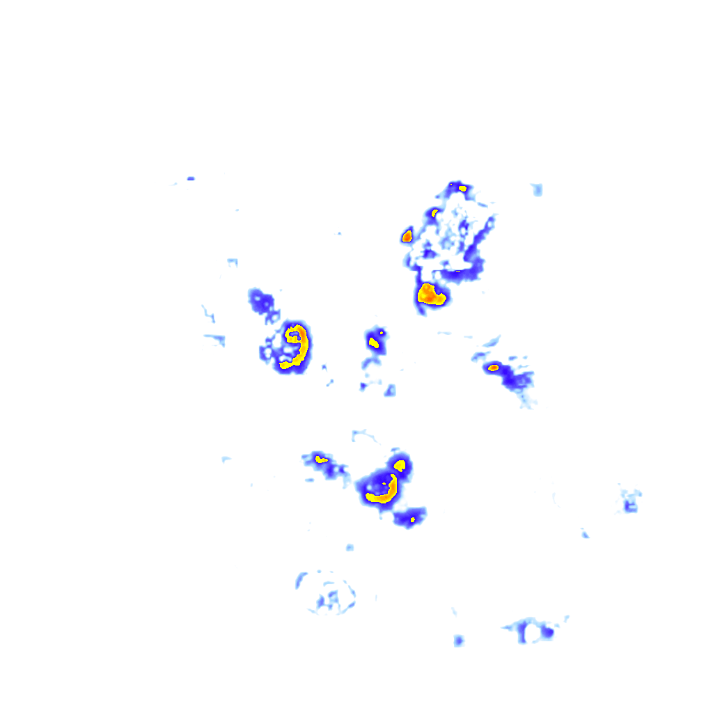 Image Layer