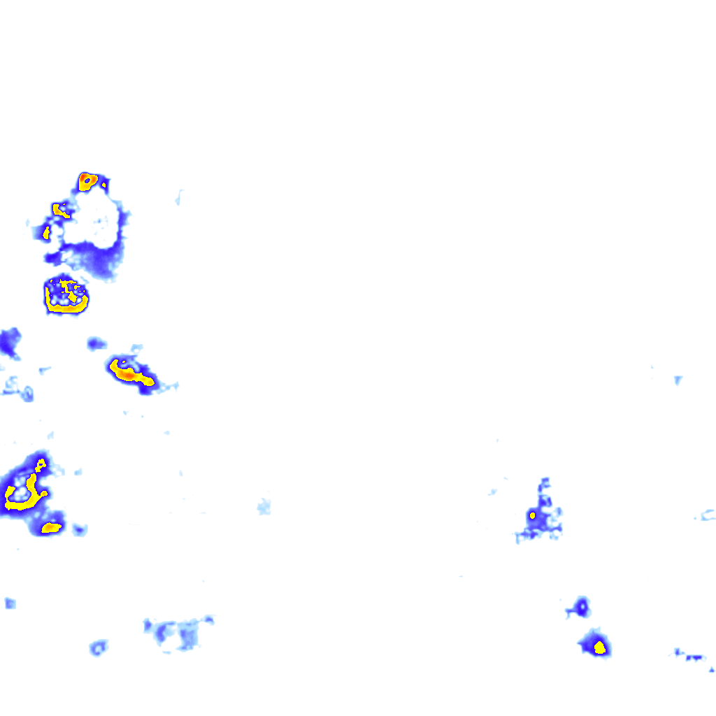 rainLayer