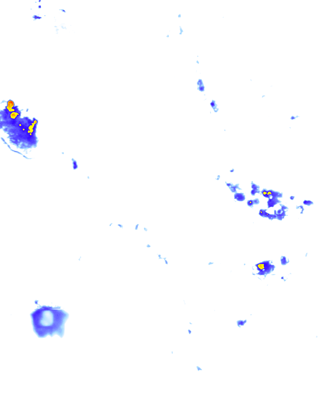 rainLayer