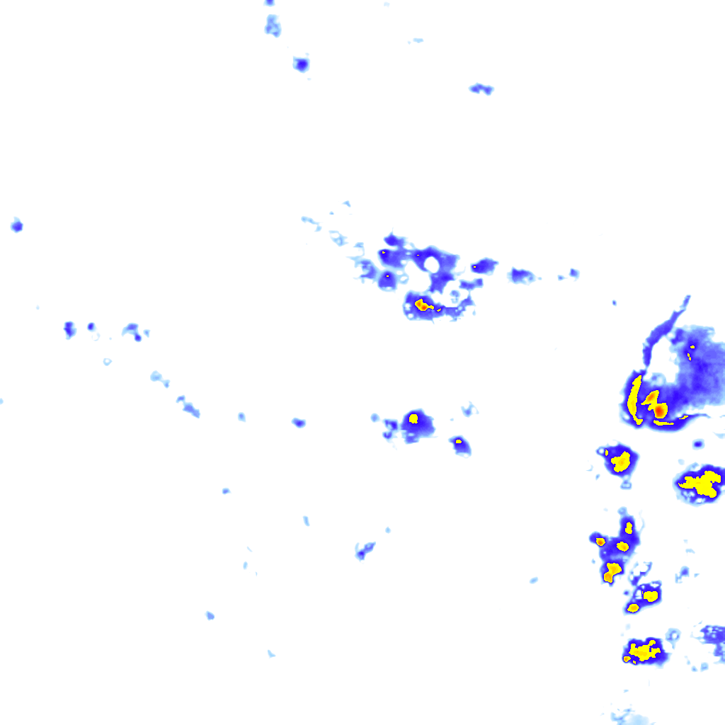 rainLayer