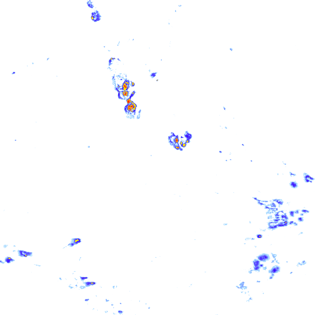 rainLayer