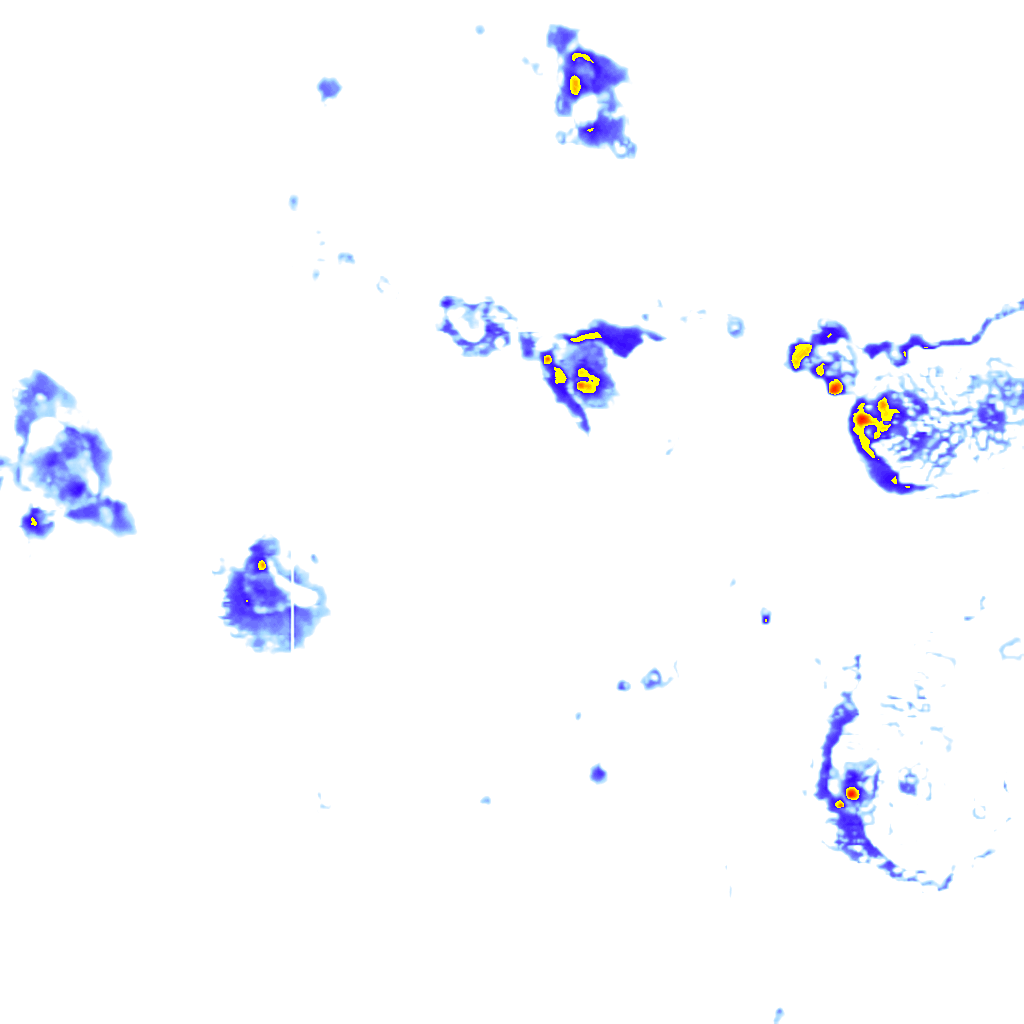 Image Layer