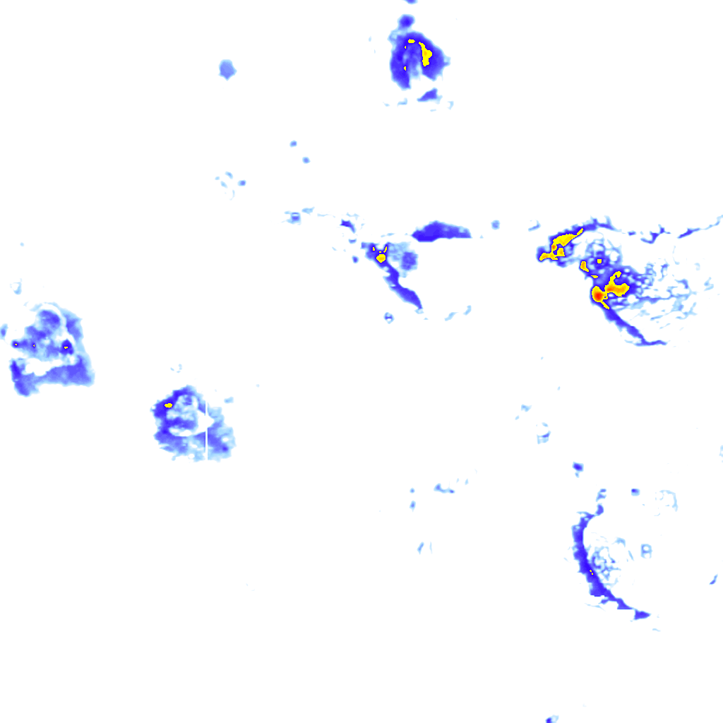 rainLayer