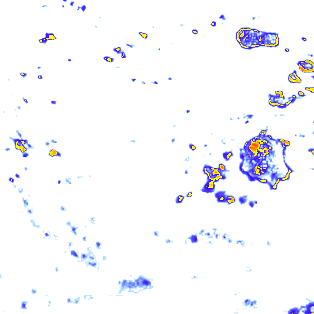 Image Layer