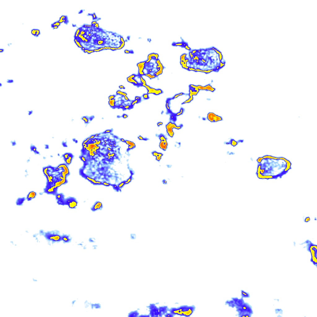 Image Layer