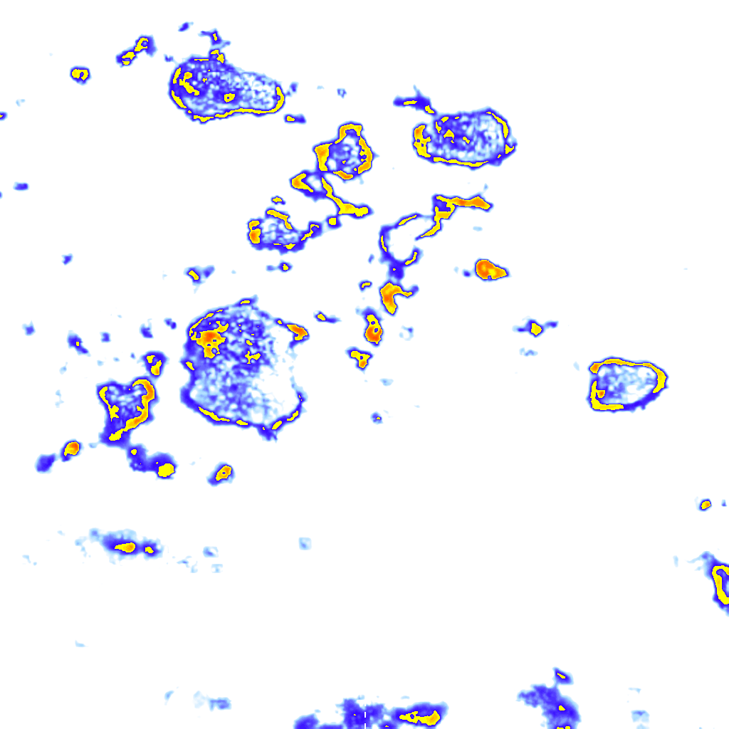 rainLayer