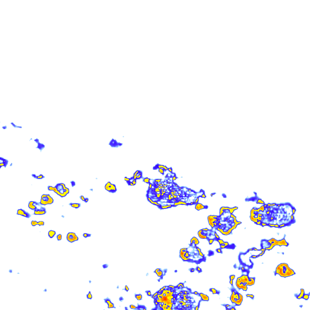 rainLayer