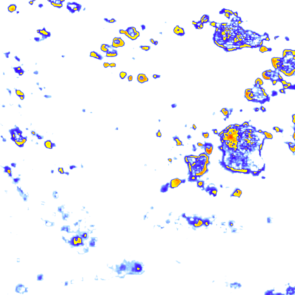 Image Layer