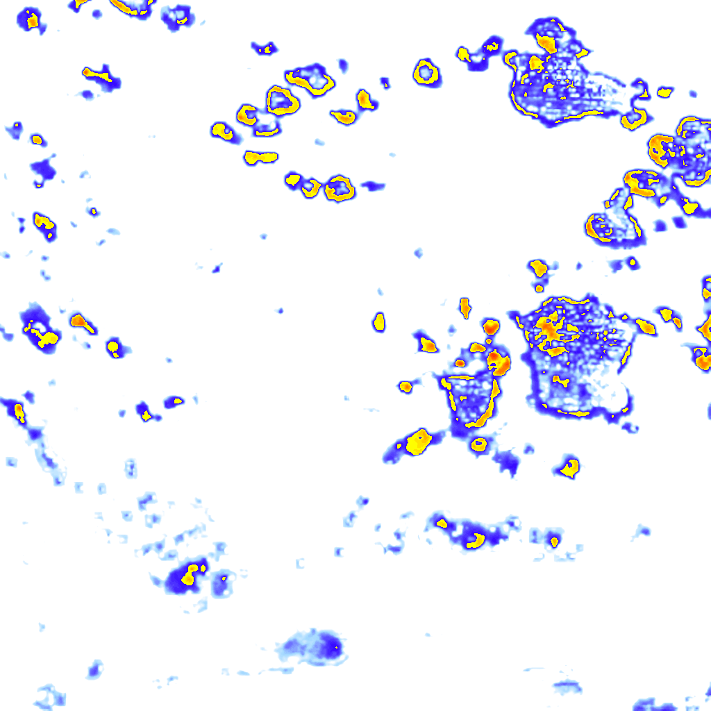 Image Layer