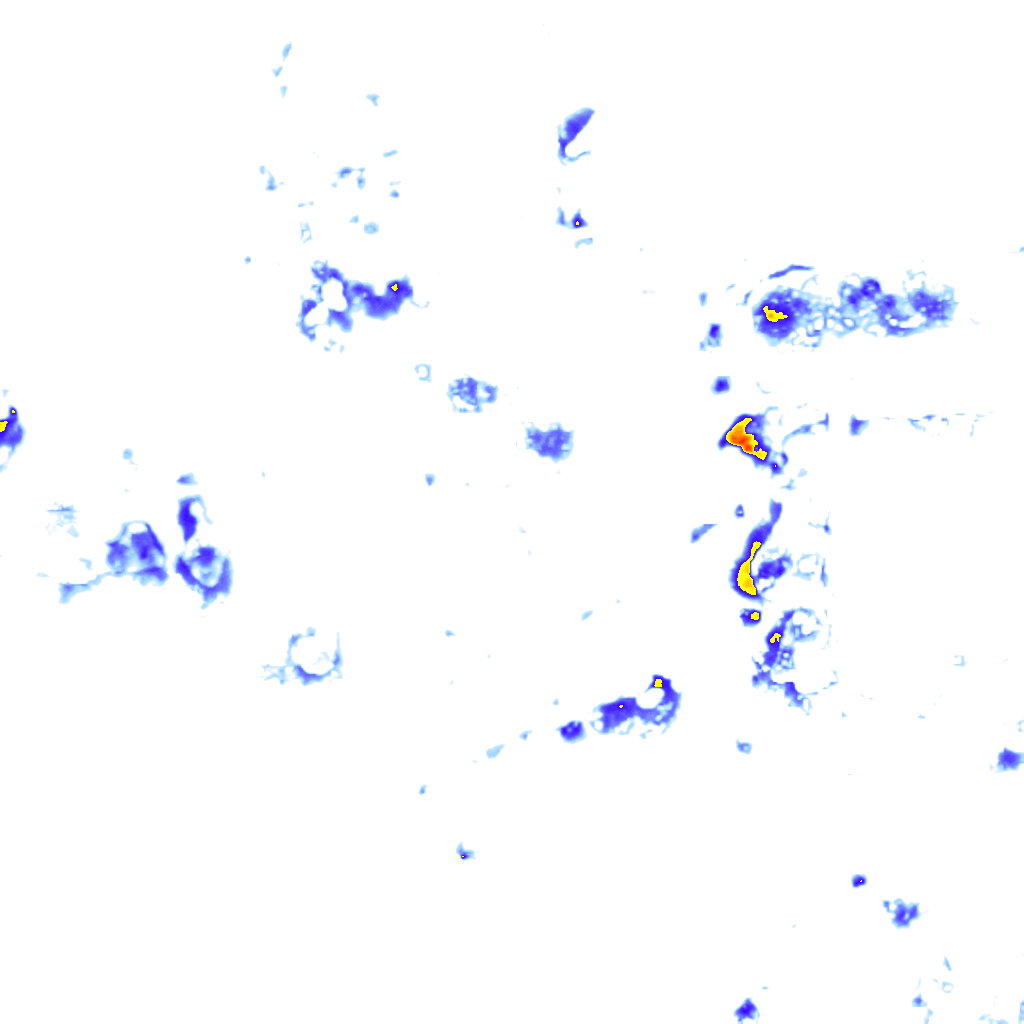 Image Layer