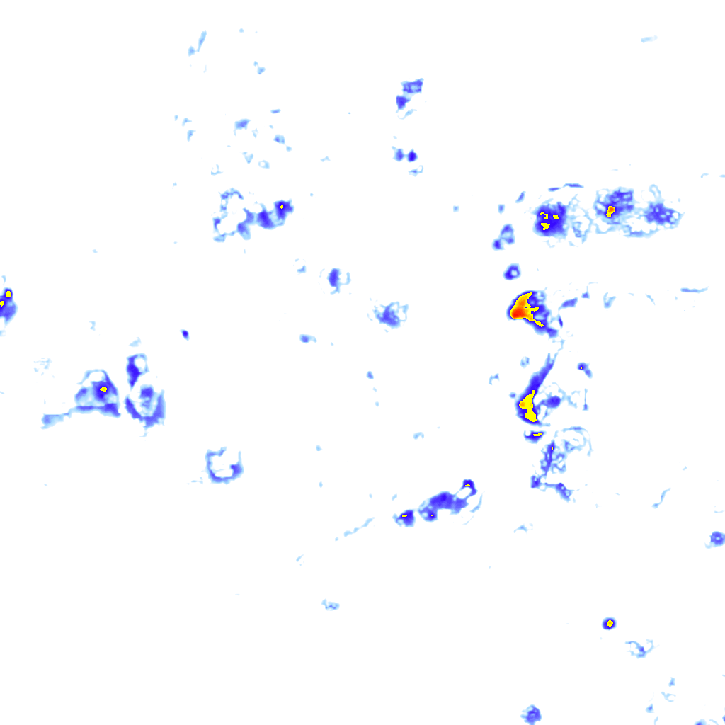 Image Layer