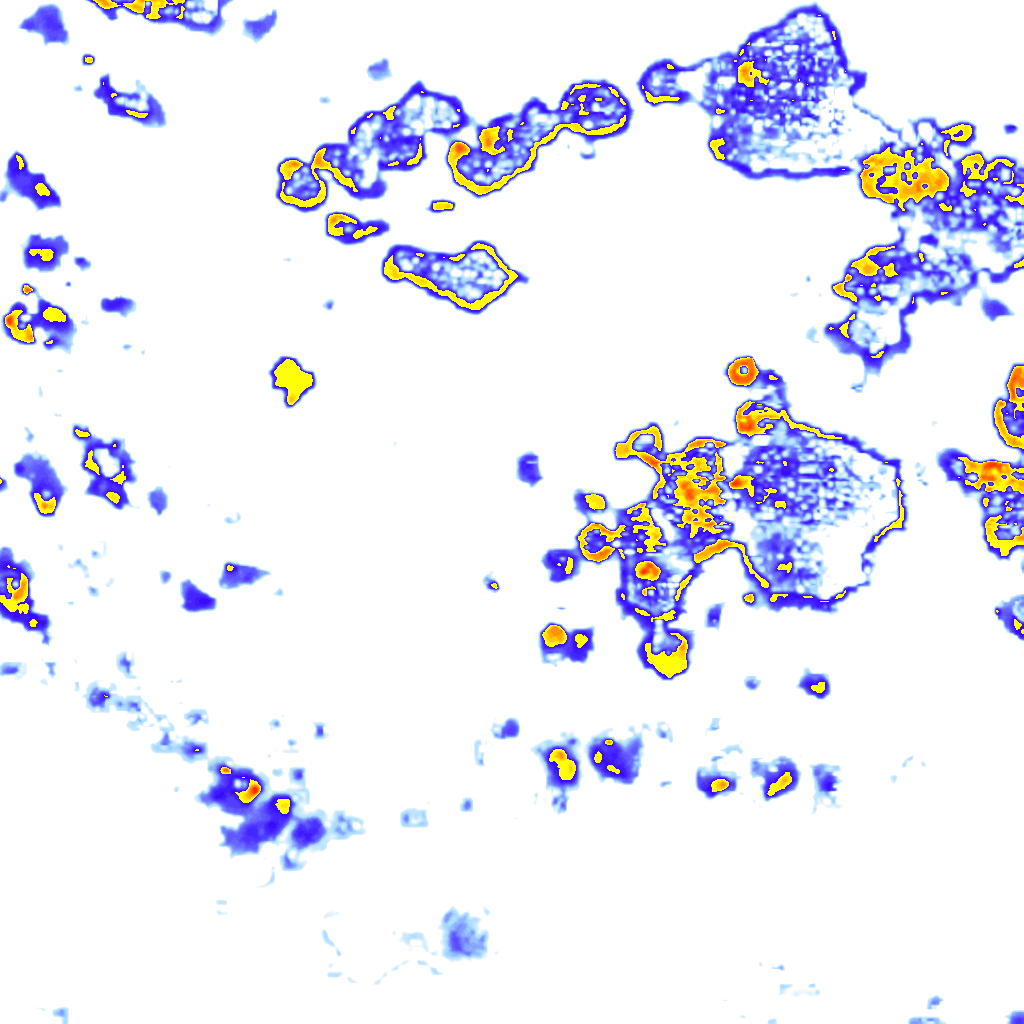 Image Layer