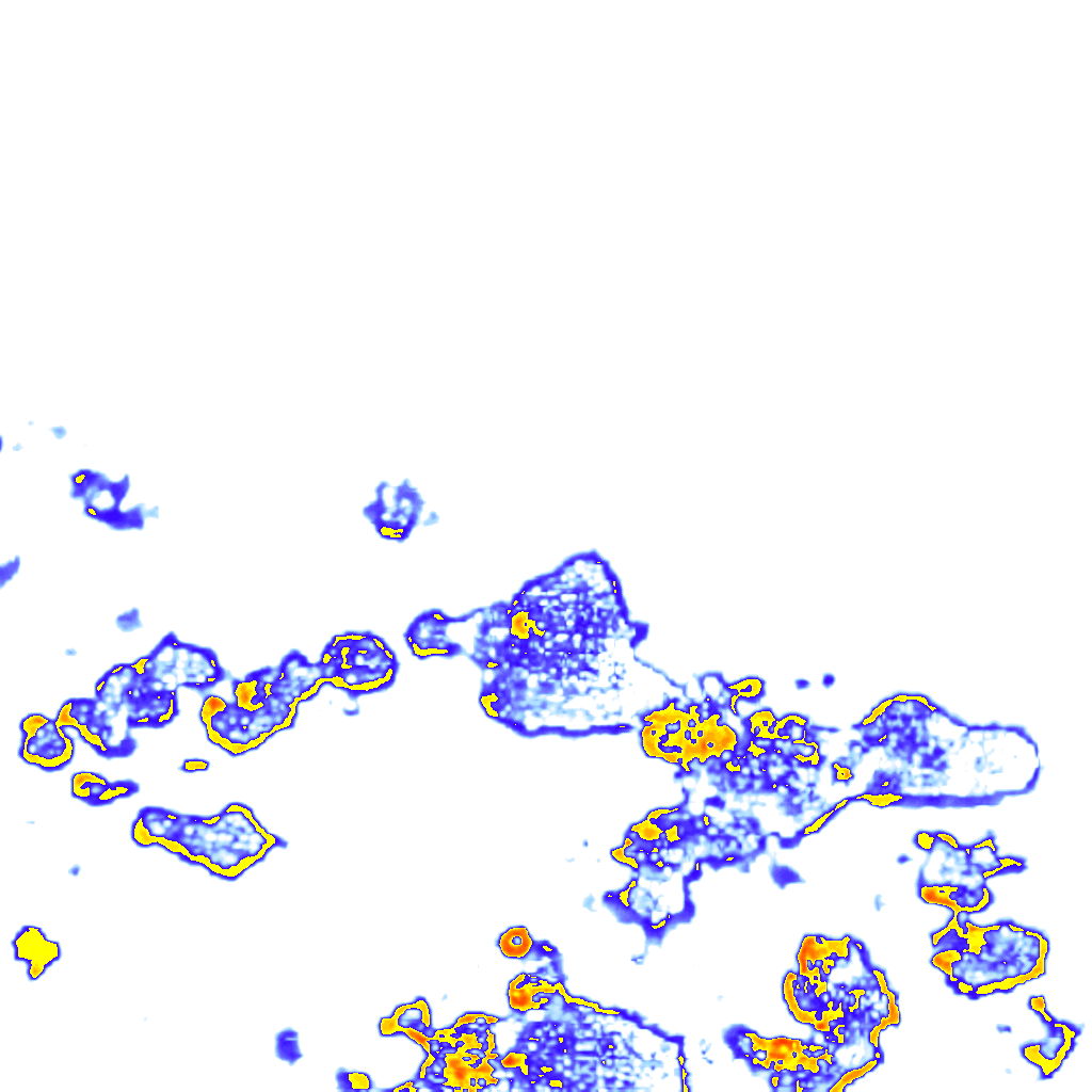 rainLayer