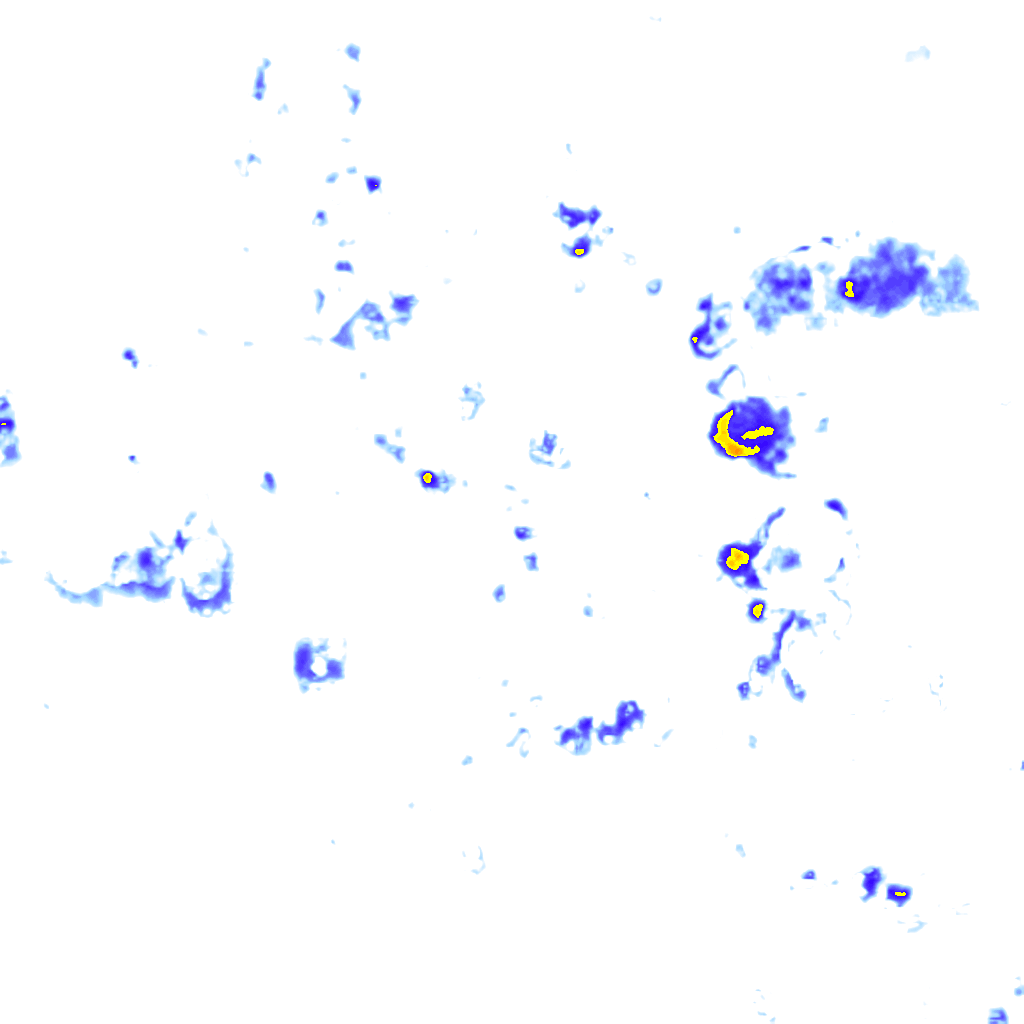 rainLayer