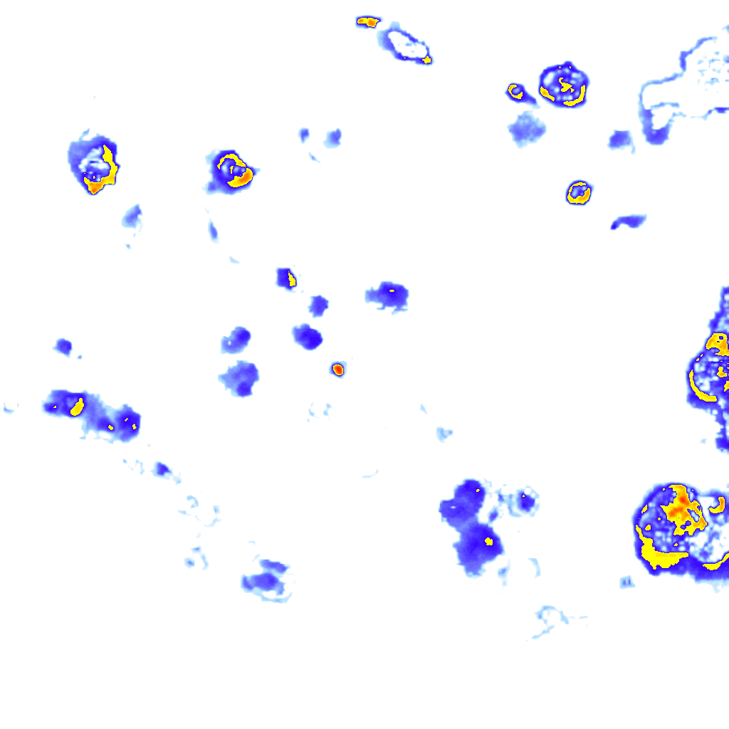 Image Layer
