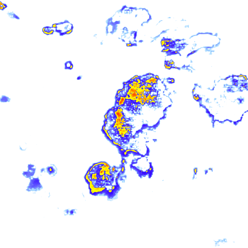 rainLayer