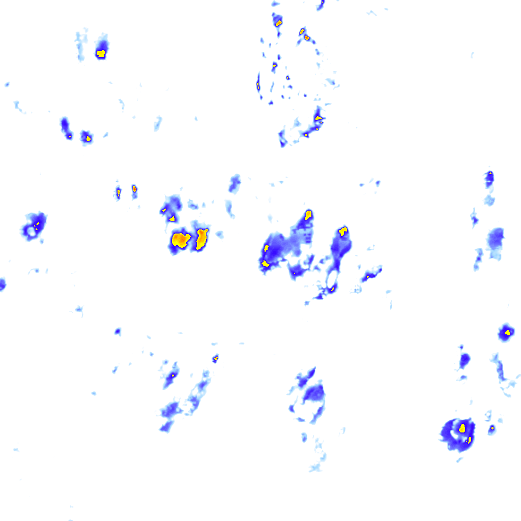 Image Layer