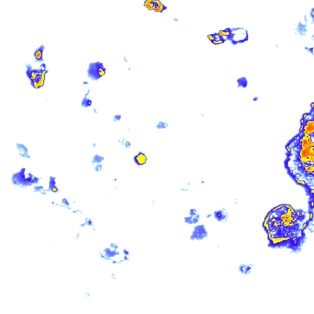 Image Layer