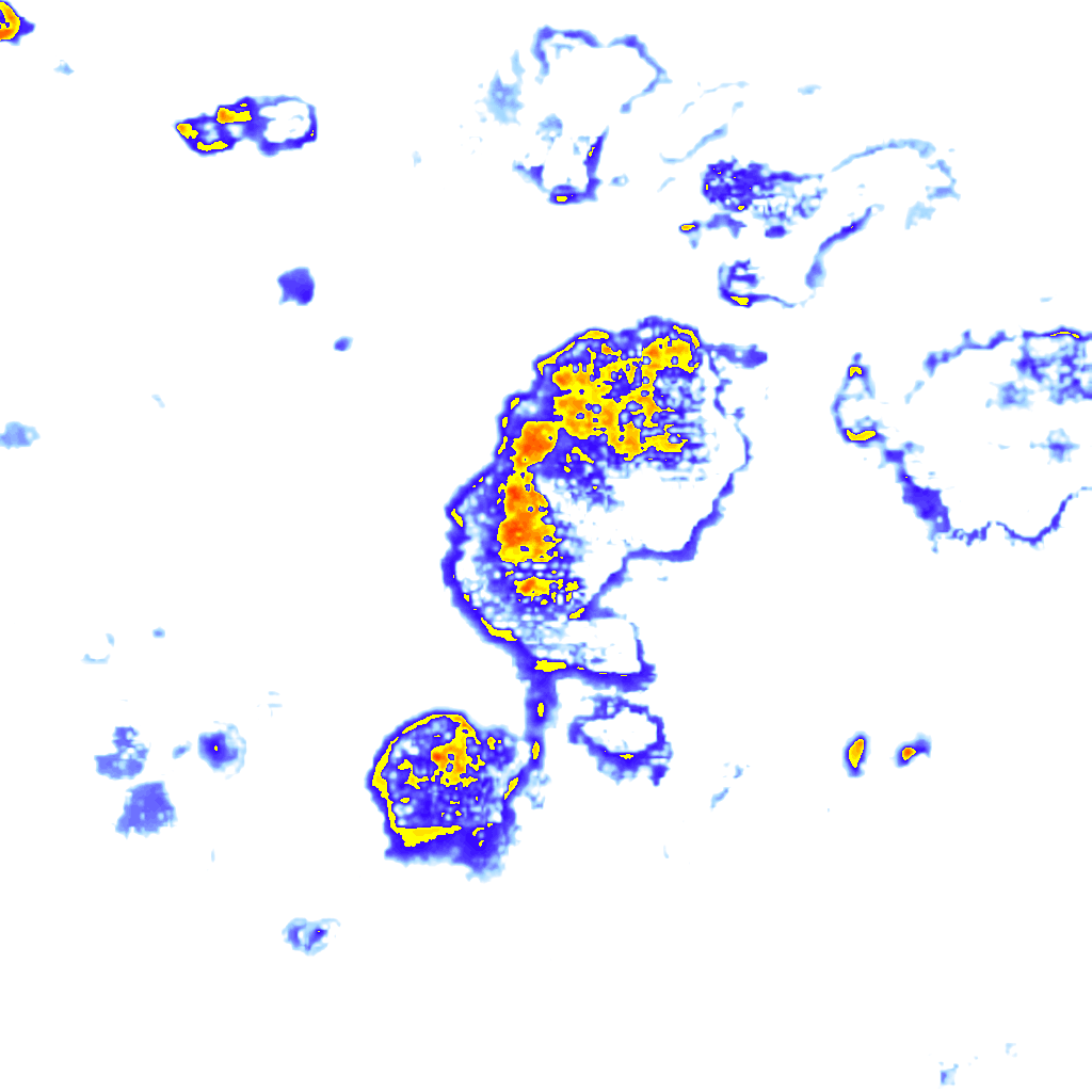 Image Layer