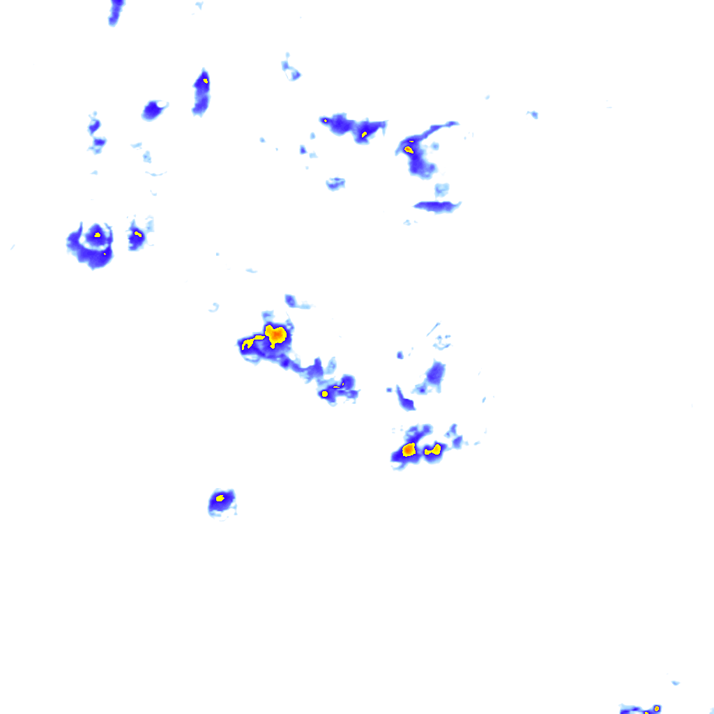 Image Layer