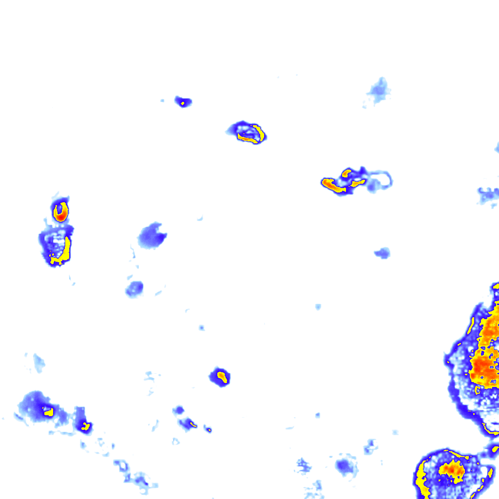 Image Layer